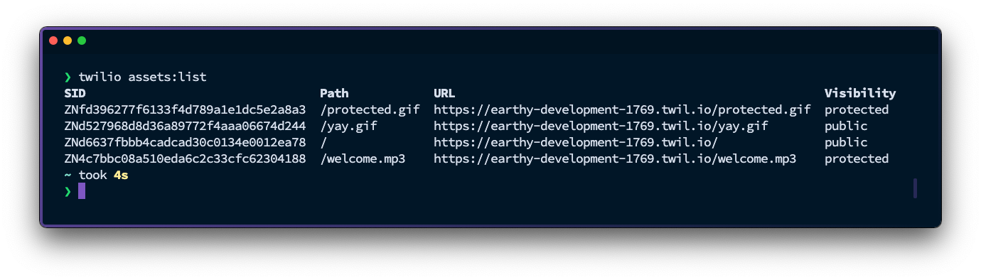 In the terminal running the list command will show you a table of the assets you have uploaded to your service.