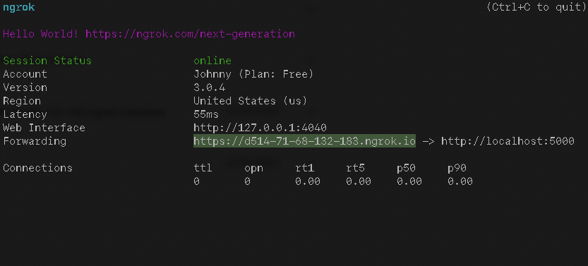 Running ngrok in the command prompt, a list of session statuses is displayed, including a forwarding URL.