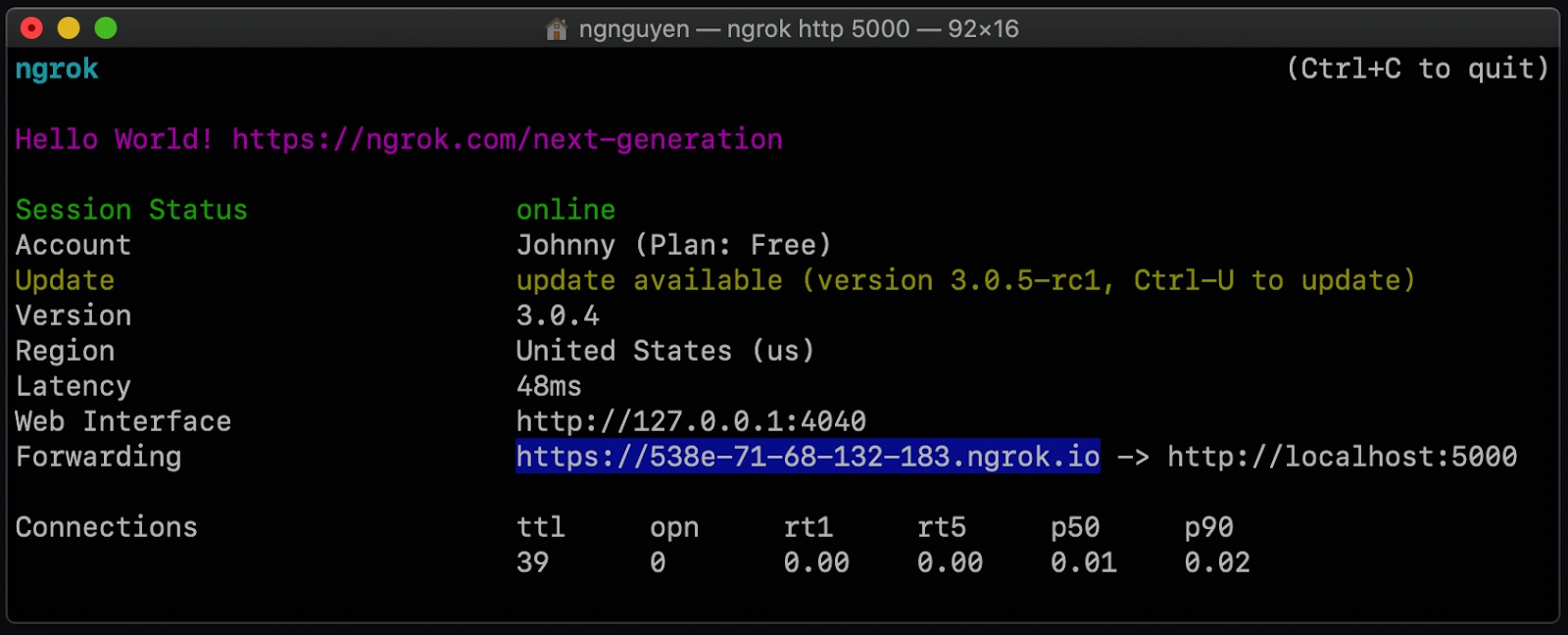 Running ngrok in the command prompt, a list of session statuses is displayed, including a forwarding URL.