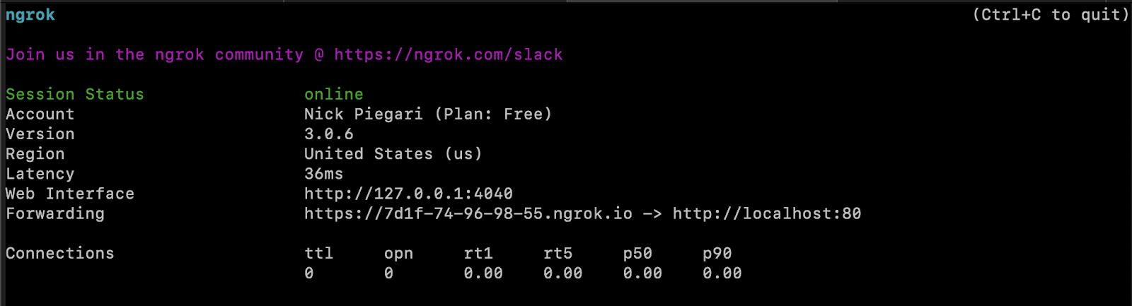 ngrok log statements, showing connection details