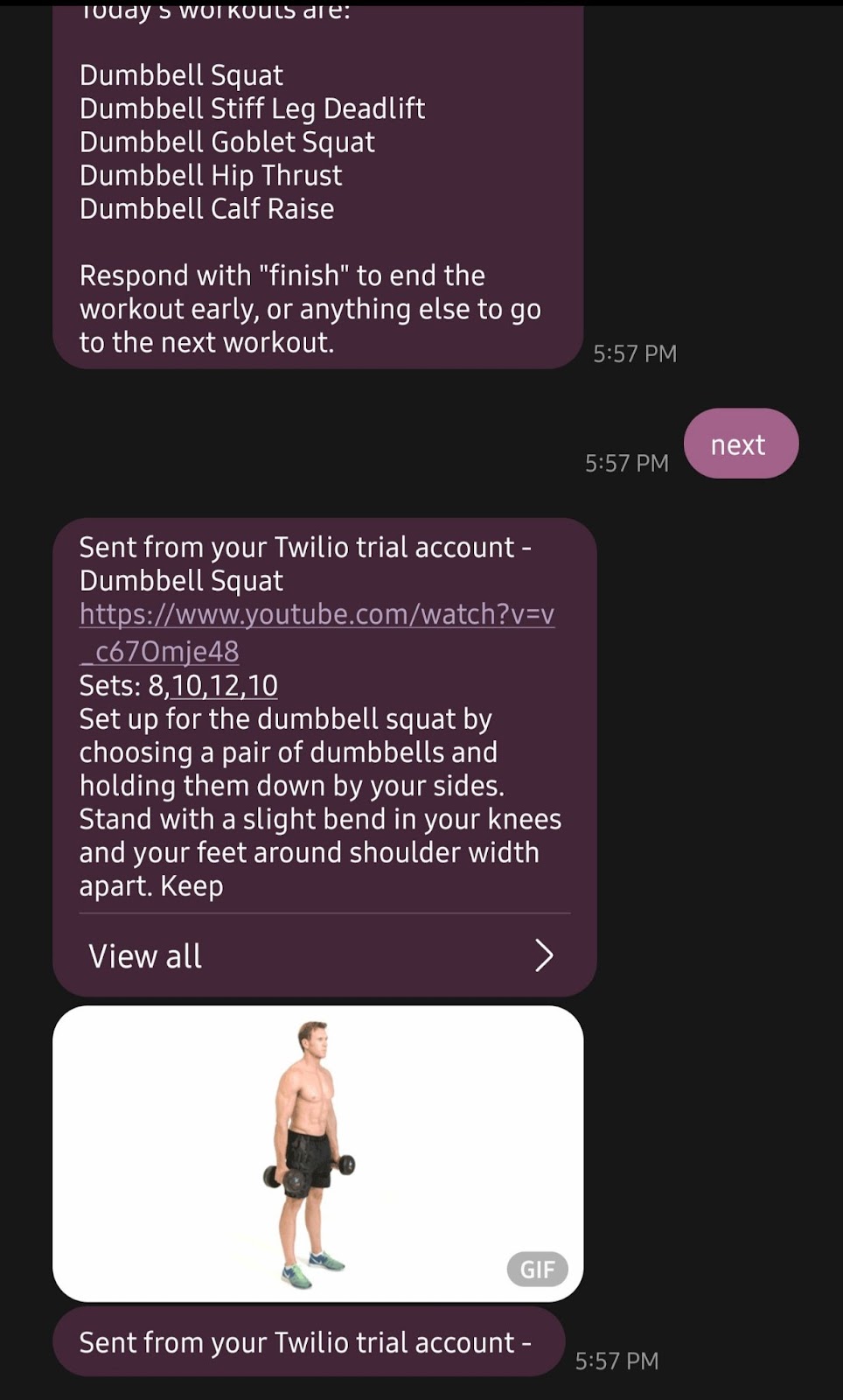 Conversation with Twilio number where the texter is given exercise information