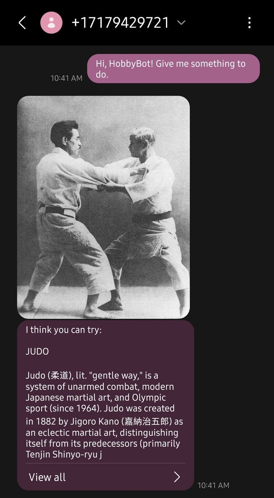 Response from recommendation bot, received Judo as a recommendation