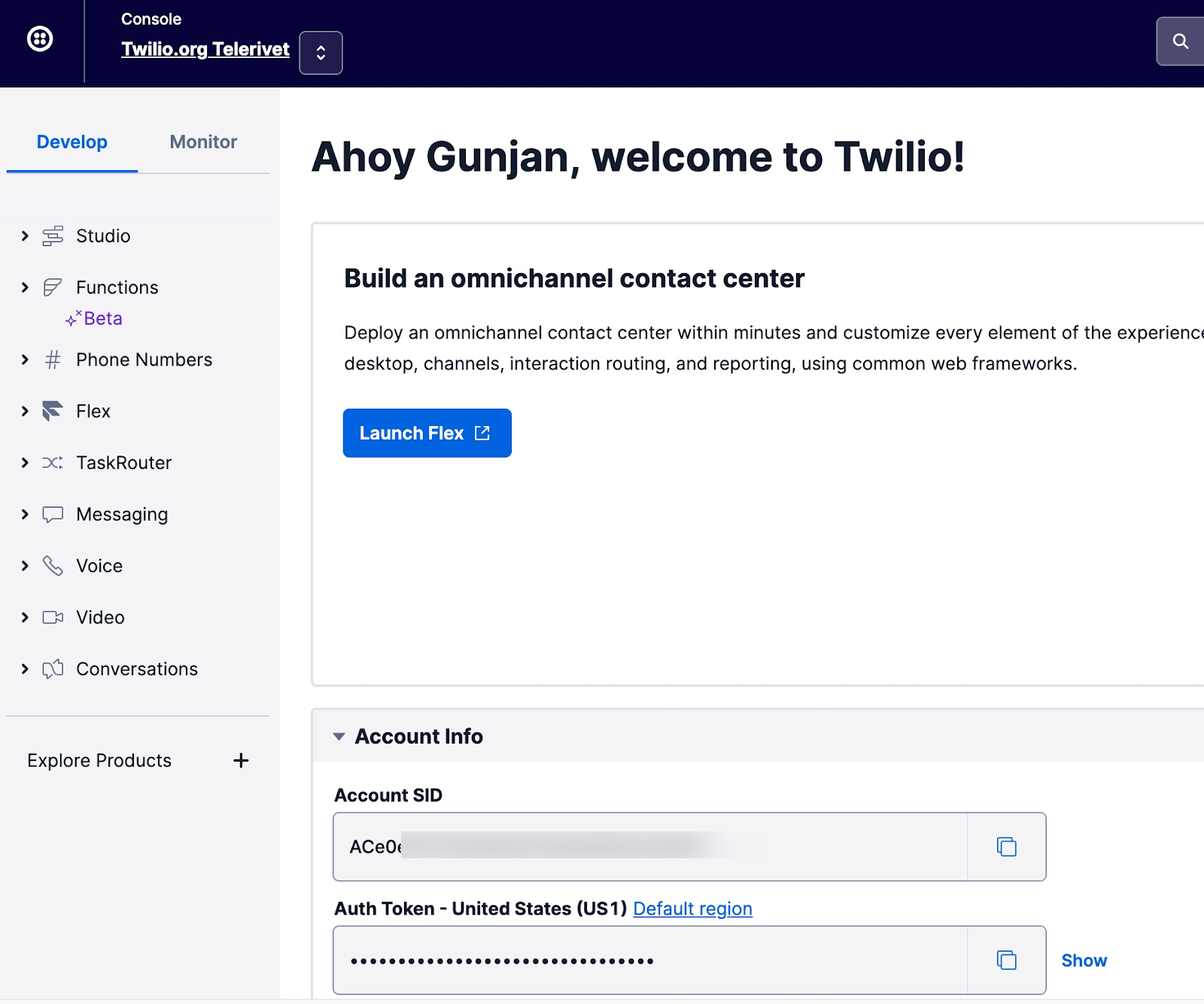 Account SID and Auth Token in the Twilio Console