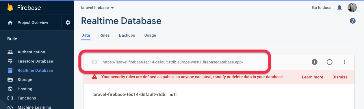 Copy the Firebase database URL