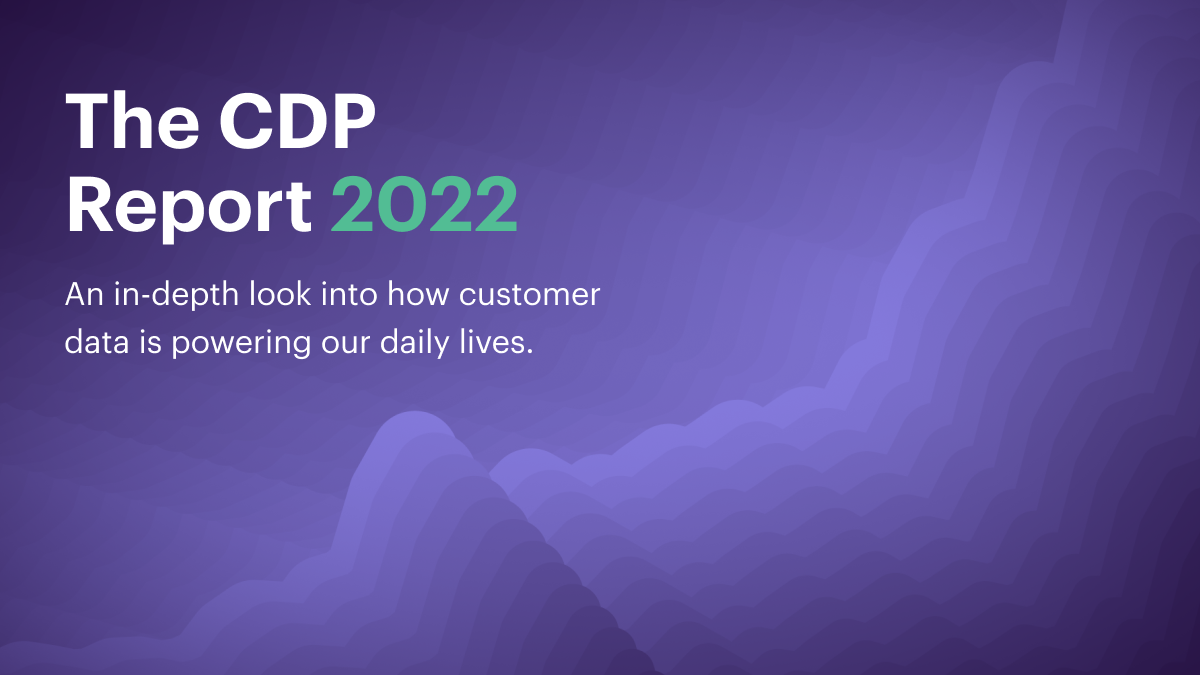 CDP Report 2022 Segment