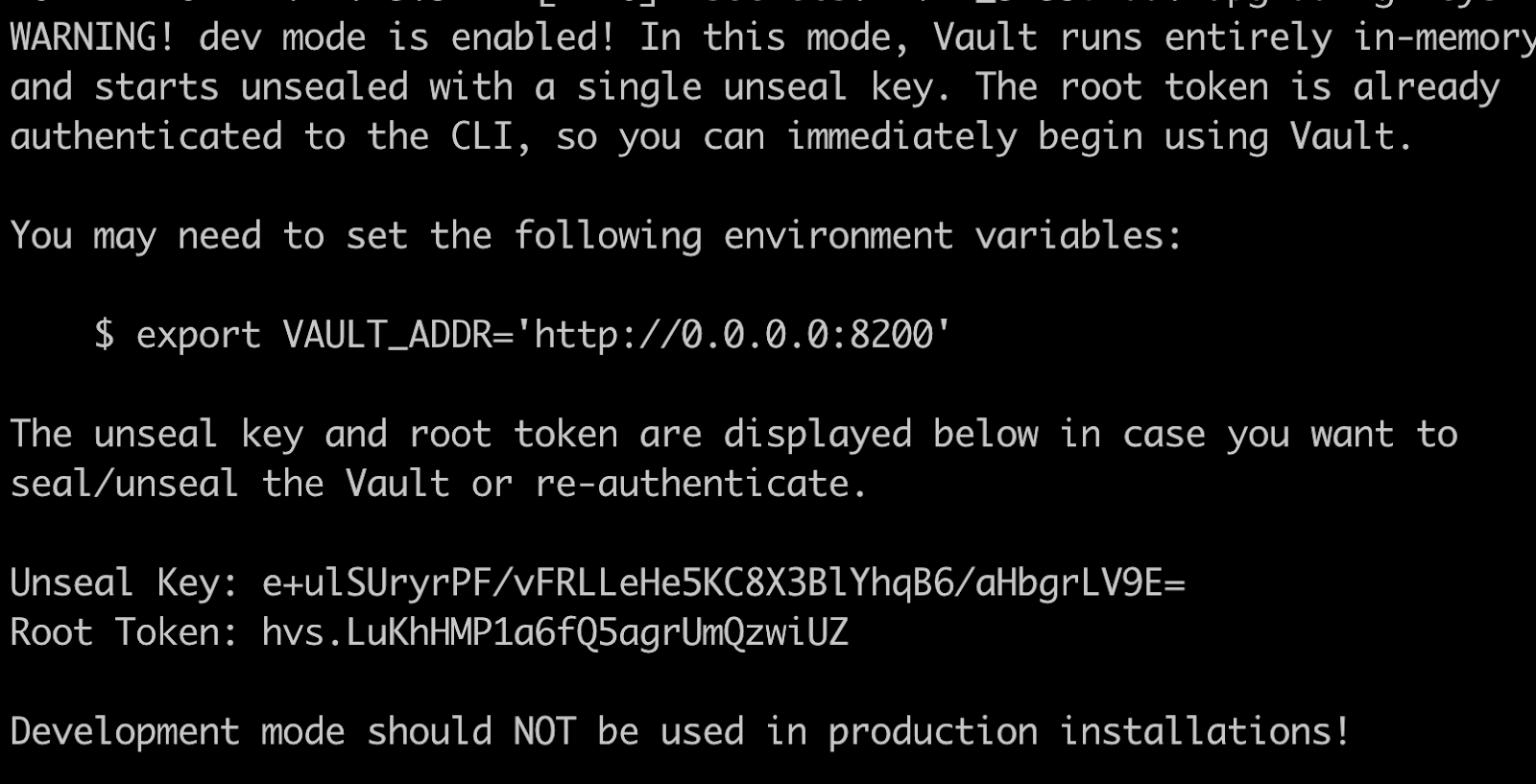 Container logs showing the root token along with warning about this not being suitable for a production environment.