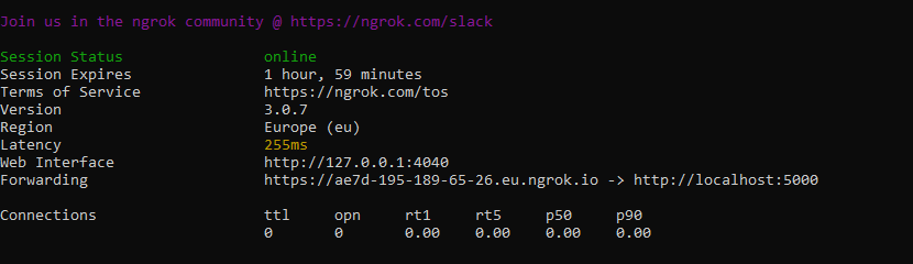 ngrok console output