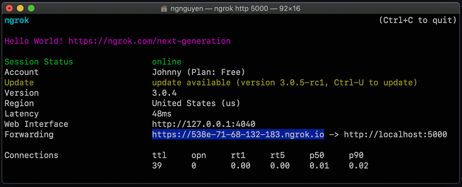 Running ngrok in the command prompt, a list of session statuses is displayed, including a forwarding URL.