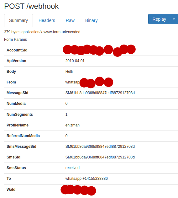 ngrok web interface on local machine