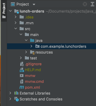 The file structure of the project with a subfolder "com.example.lunchorders" in the "src/main/java" folder.