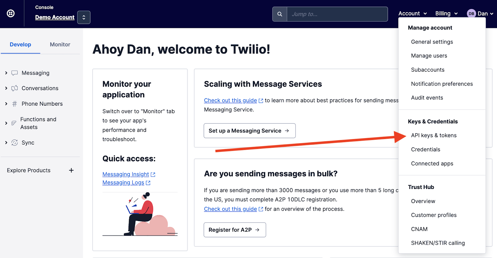 Twilio API Keys and credentials in the console