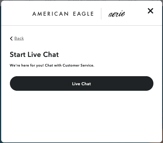 real-time messaging live chat example