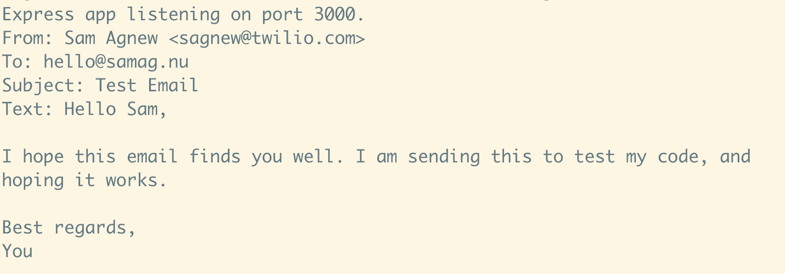 The parameters for the test email being printed to my terminal