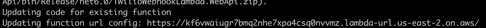 Terminal window showing that the existing Lambda function has been updated successfully.