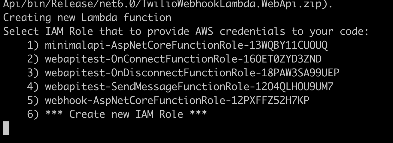 Terminal window asking the name of the IAM role