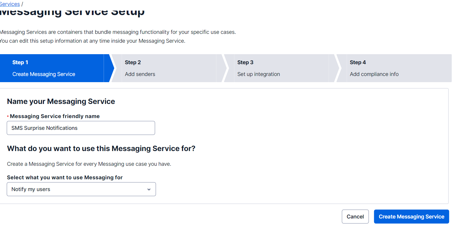 Messaging Service creation step, with the name of the service, the list of options on the use of the service and the button to create it.