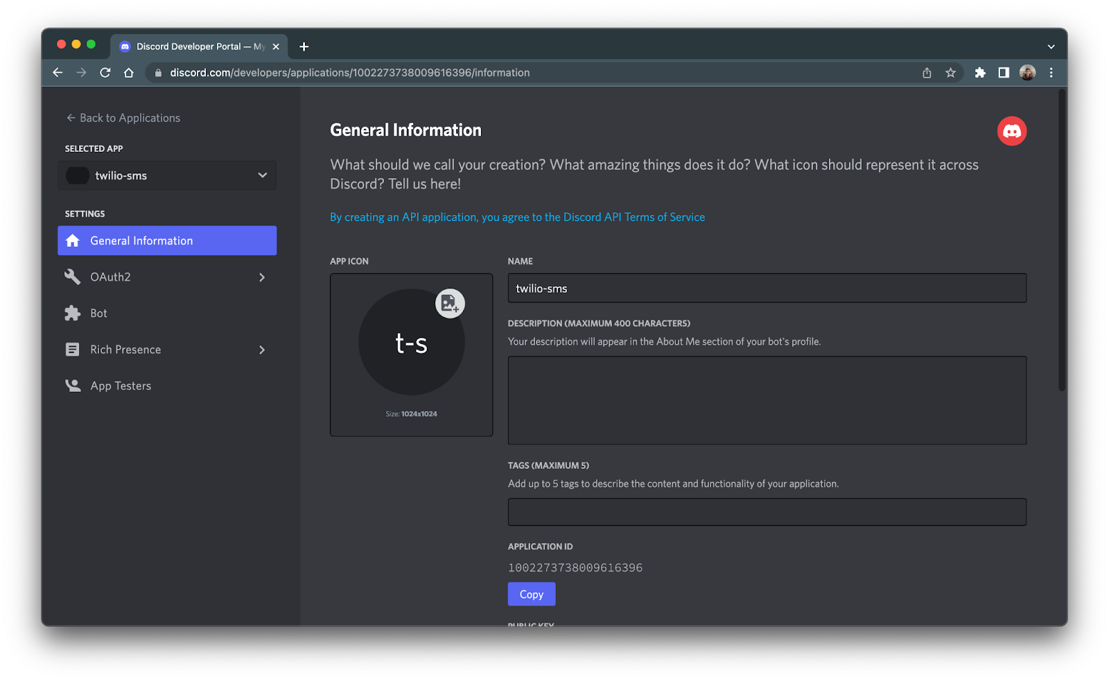 General information page of the newly created discord application