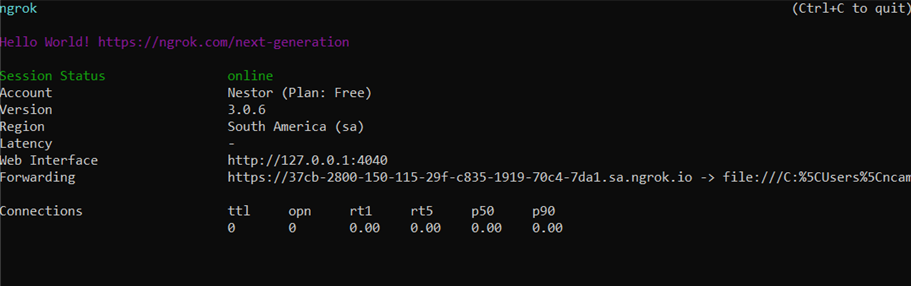 Command line with the execution of ngrok, which shows various data, including the Forwarding (HTTPS address) must be copied to be used in the project.