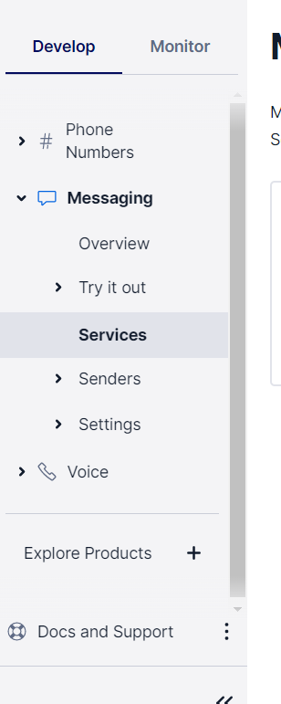 Left side menu with the Messaging menu open, and the Services option selected.
