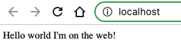 message on the local host web browser saying "Hello world I&#x27;m on the web!"