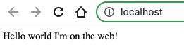 message on the local host web browser saying "Hello world I'm on the web!"