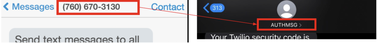 Two SMS conversations side-by-side. The SMS on the left originate from a phone number and the conversation on the right originates from an Alphanumeric Sender ID "AUTHMSG"