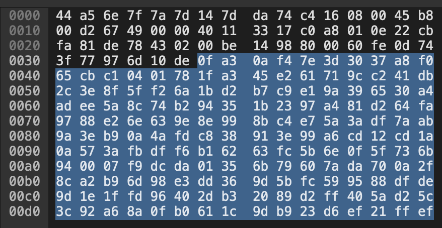 Encrypted SRTP payload