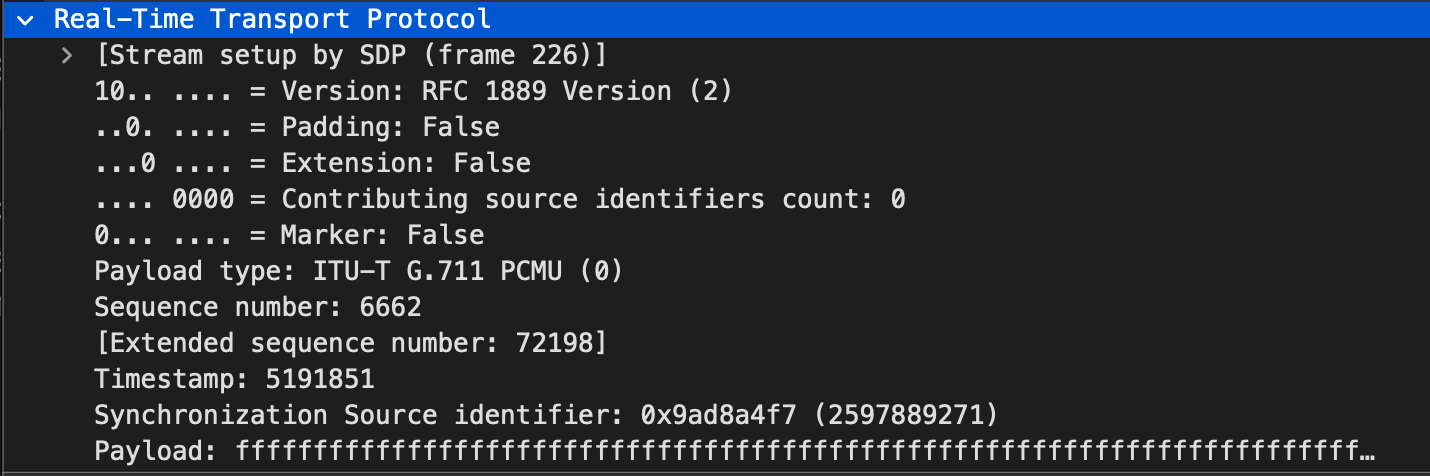 Unencrypted RTP payload