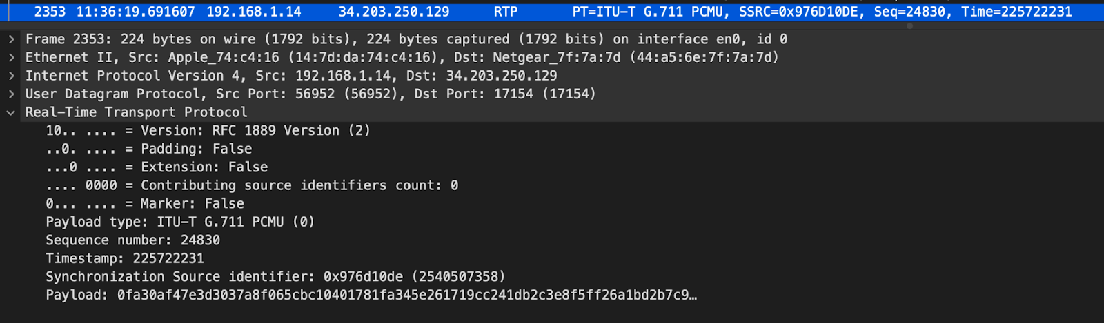 decoded RTP packet