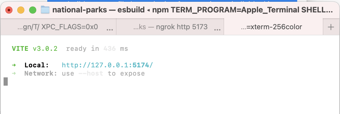 Console screenshot after running npm run dev showing localhost url