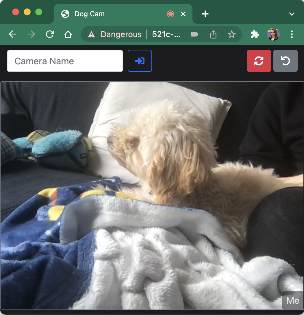 Change camera button in the dog cam app