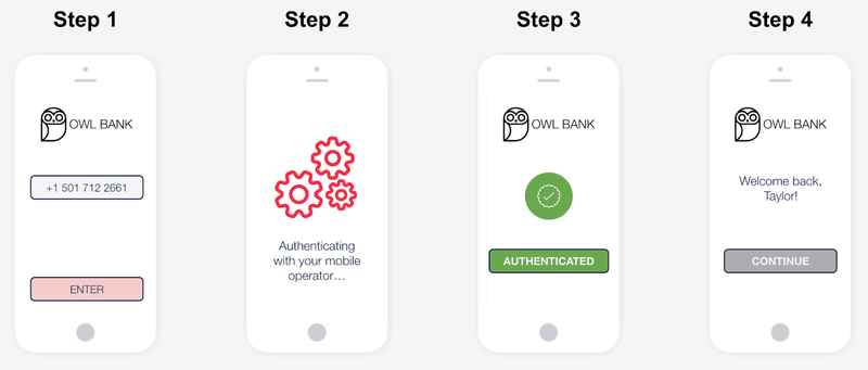 4 step process showing what an end user would see when they log in with SNA