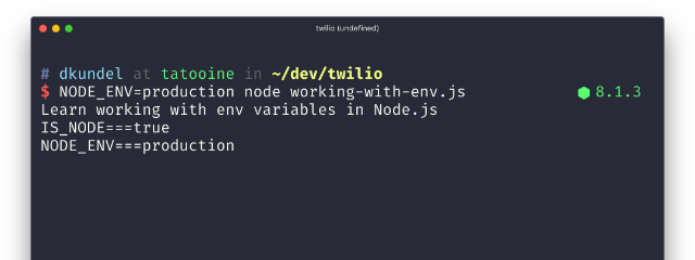 Environment Variables in Node.js