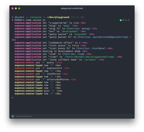 debug log