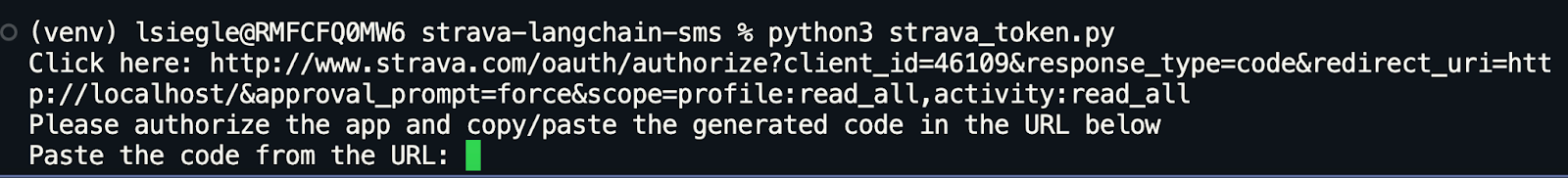 terminal asking you to paste code from browser