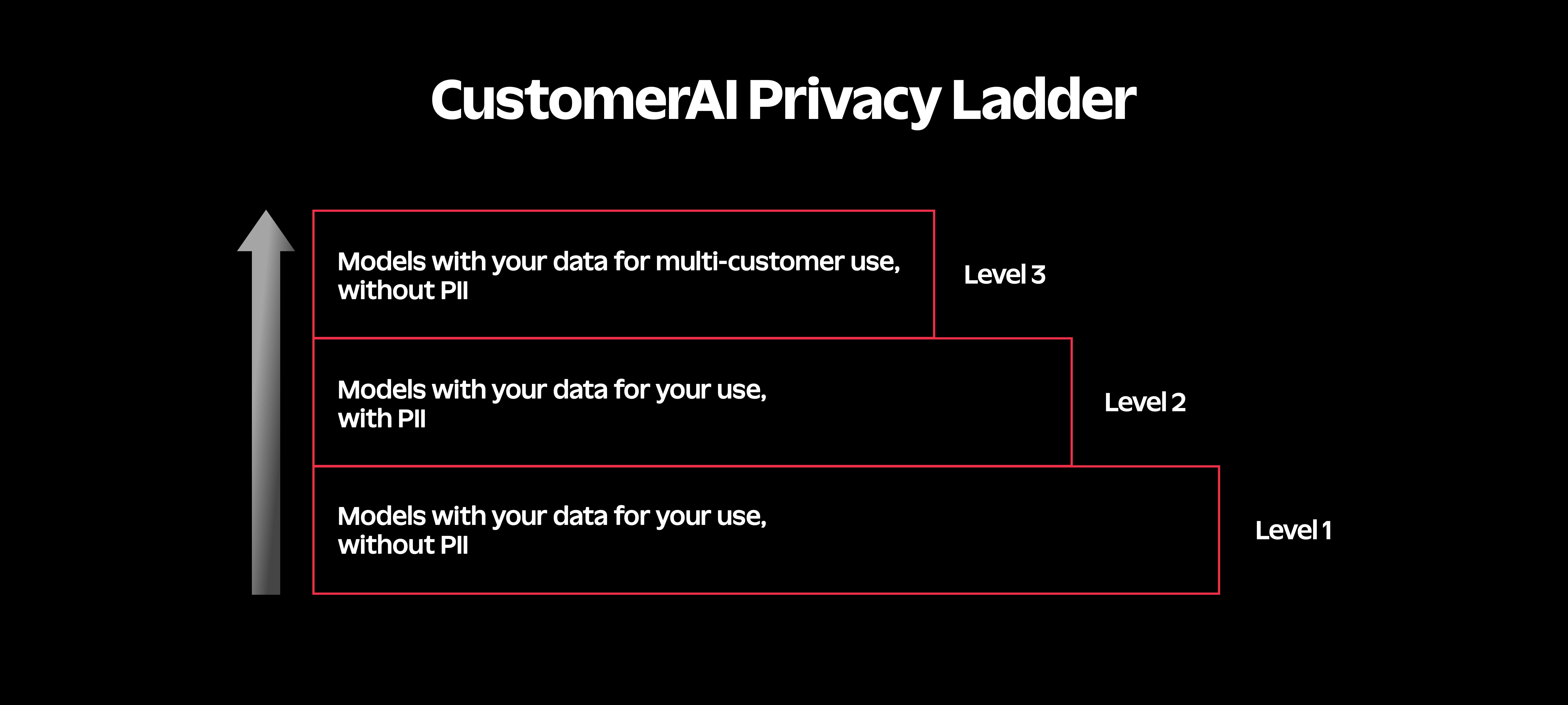 CustomerAI Privacy_Ladder