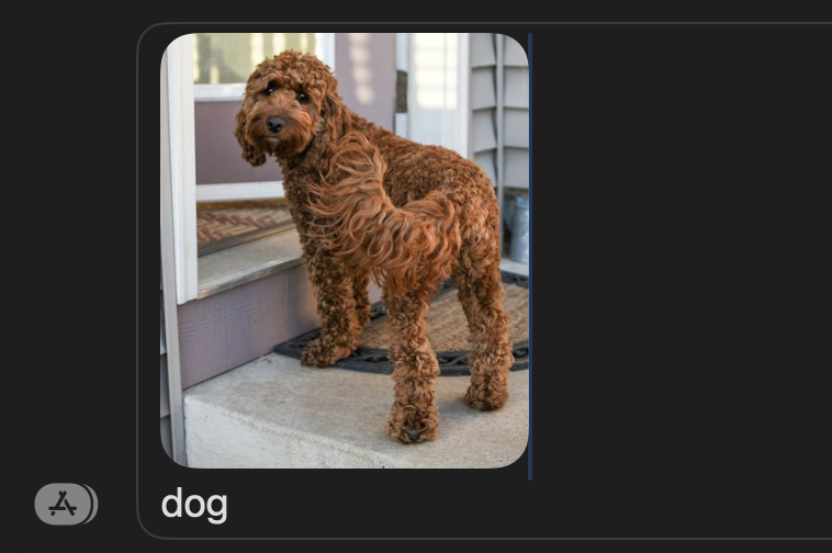 Asking an AI if it sees a dog
