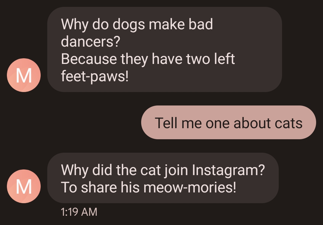 SMS conversation with ChatGPT. Person asks ChatGPT to tell a joke about dogs. ChatGPT responds with a joke about dogs. Person asks for one about cats. ChatGPT tells a joke about cats.