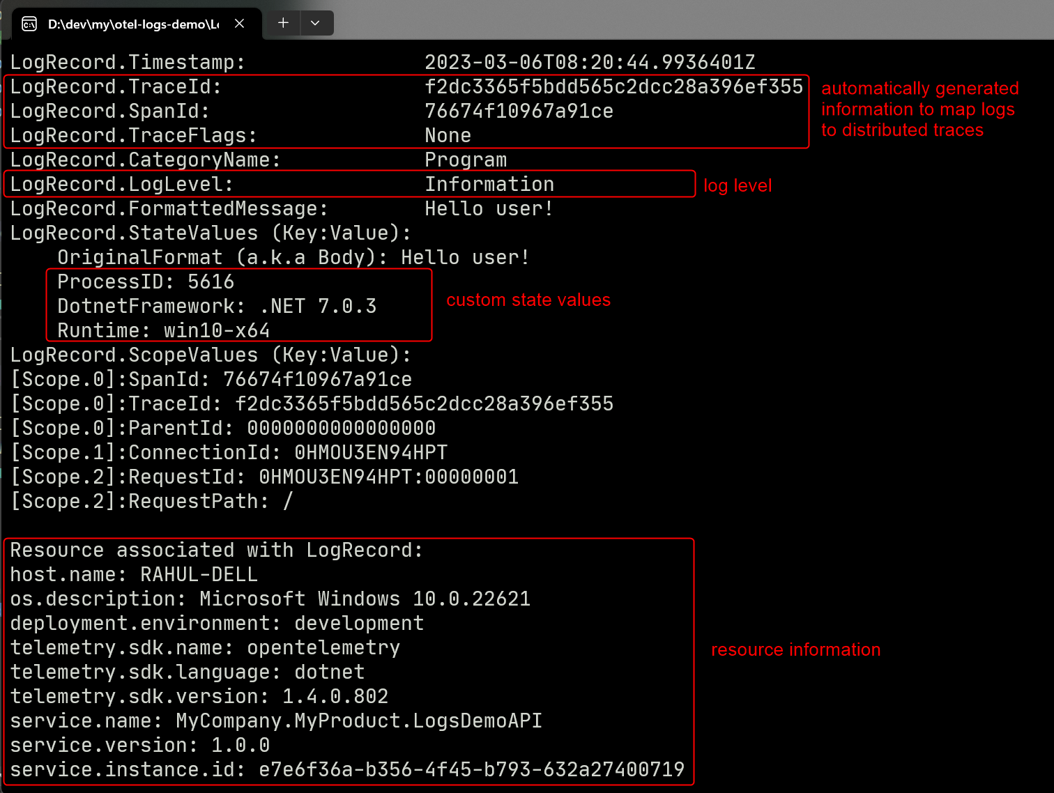 Console output from request to the default API endpoint showing automatically generated information to correlated logs to traces, log level, custom state values, and resource information