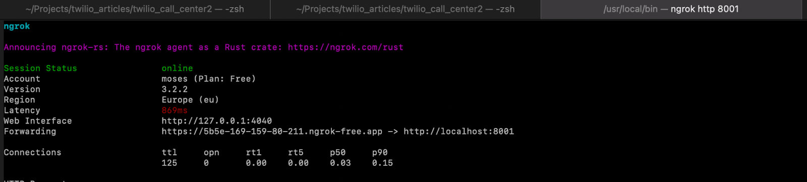 Ngrok output to the terminal