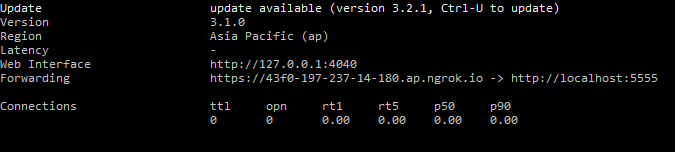 ngrok output exposing nodejs server with public url