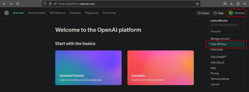 Navigating to the OpenAI API page
