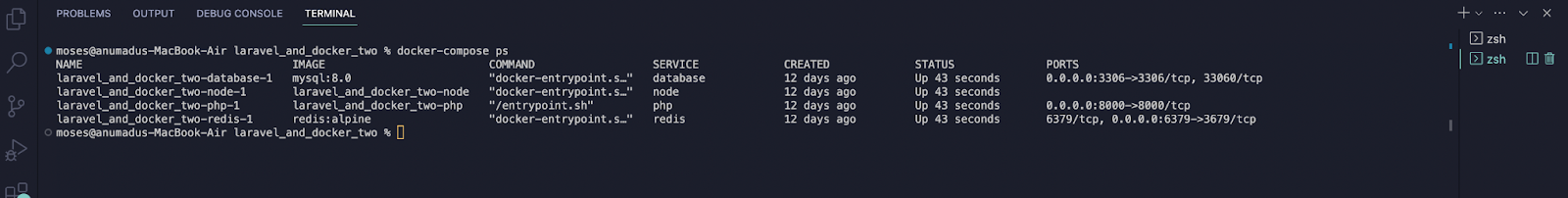 Output of running docker compose ps in the terminal