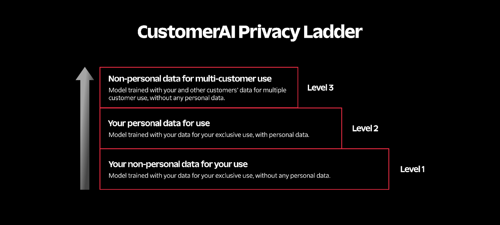 CustomerAi Privacy Ladder