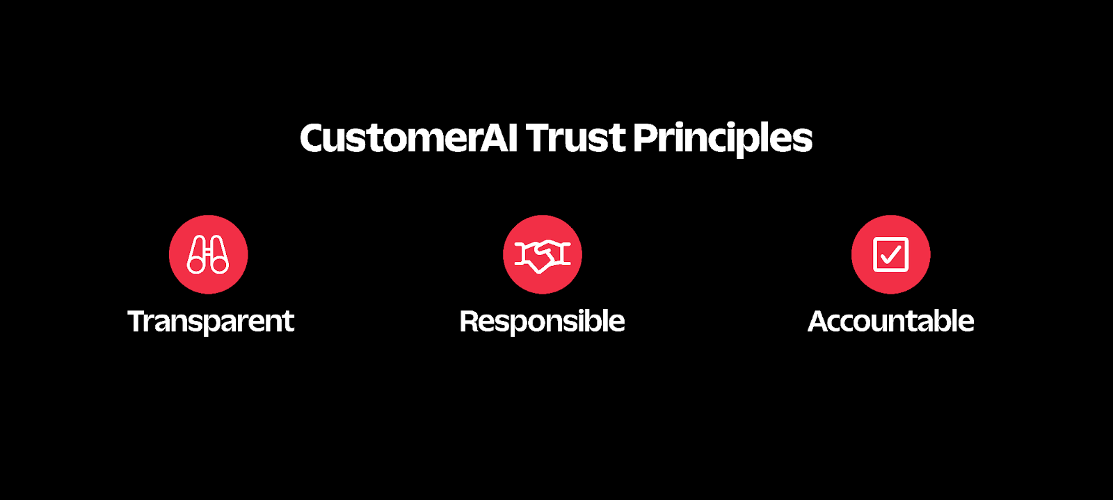 CustomerAI Trust Principles
