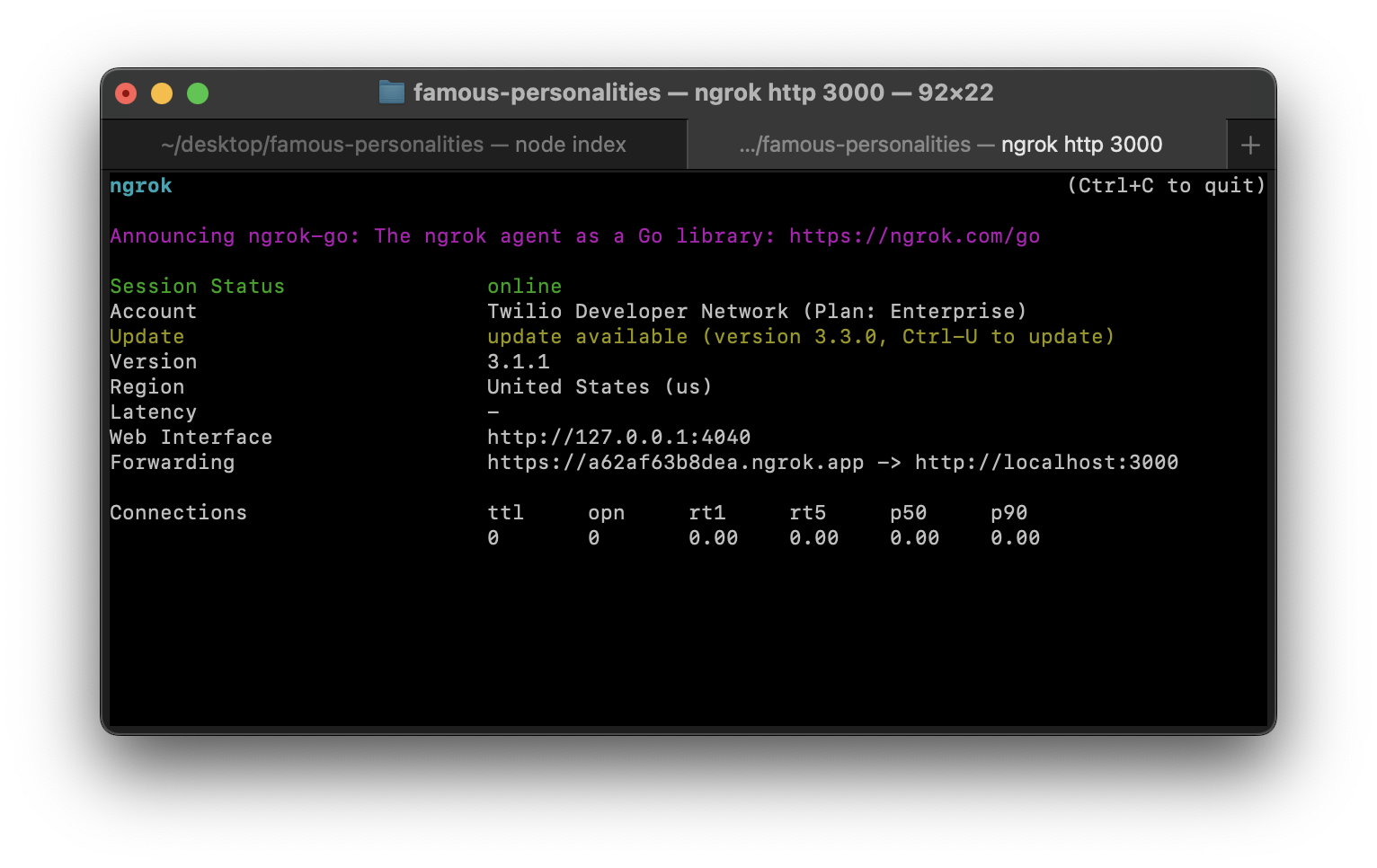 terminal after executing ngrok http 3000