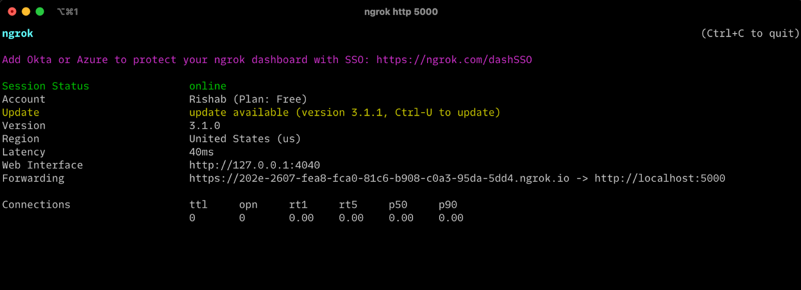 ngrok running in terminal