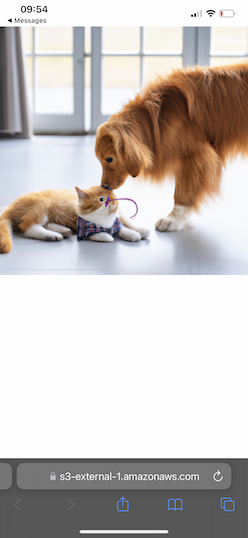 Screenshot of phone showing the AI-generated image based on the description "a golden retriever puppy playing with a kitten".