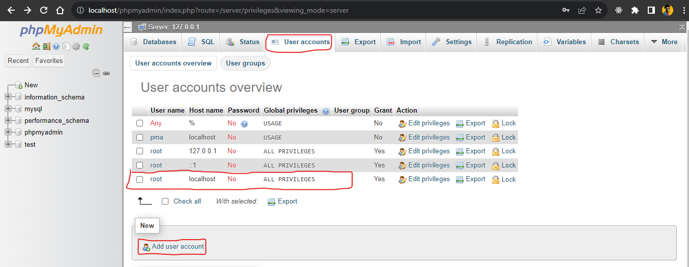 User accounts in the phpMyAdmin dashboard