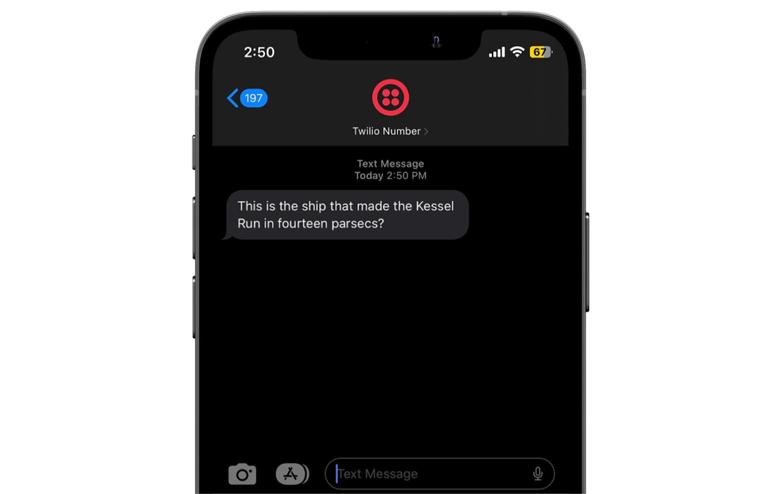 Screenshot of receiving the SMS in the iOS Messages application
